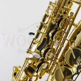 Selmer Paris SeleS 52 AXOS Professional Alto Saxophone