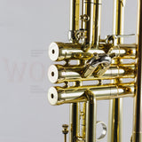 Adams Custom Series A6 Trumpet