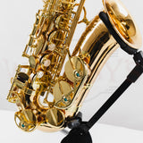 Yanagisawa AWO2 Professional Model Bronze Alto Saxophone