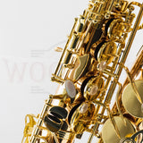 Yanagisawa AWO20 Elite Model Bronze Alto Saxophone