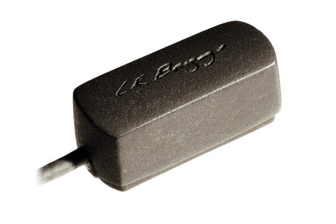 L.R. Baggs Radius Mandolin Pickup