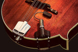 L.R. Baggs Radius Mandolin Pickup