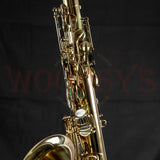 Ishimori Wood Stone New Vintage Alto Saxophone